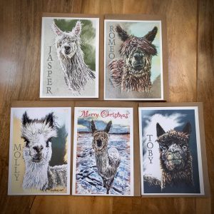 Alpaca Greeting Cards