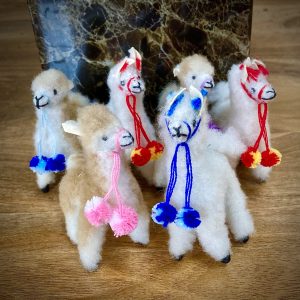 Mini Alpacas