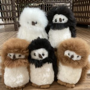 Owl Toy