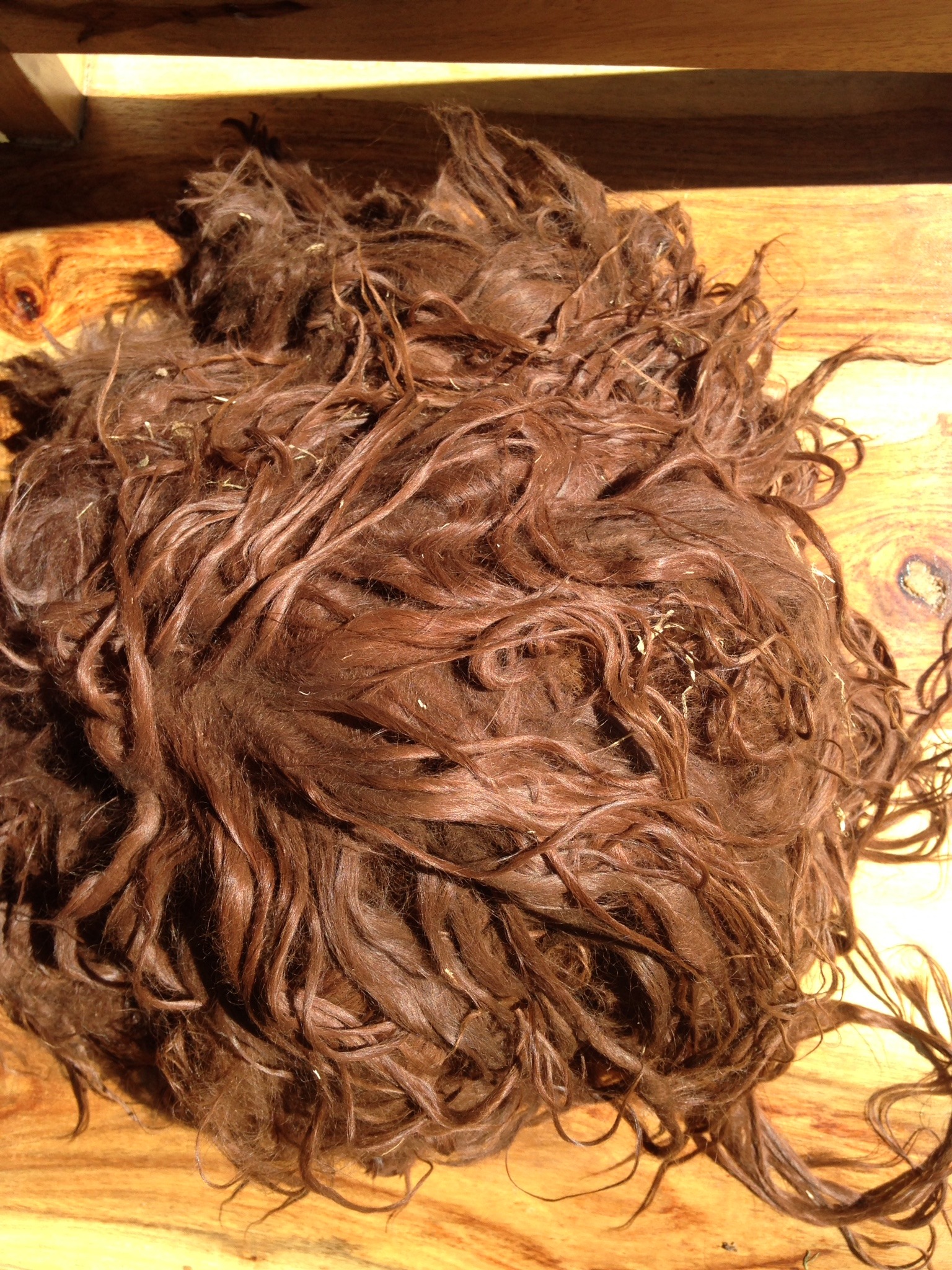 Suri Alpaca Extra Long Fleece for Dolls Wigs or Hand Spinning - Image 7