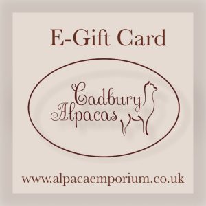 E Gift Card