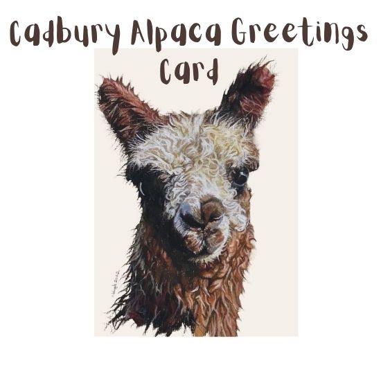 alpaca gifts - cadbury alpaca greetings card