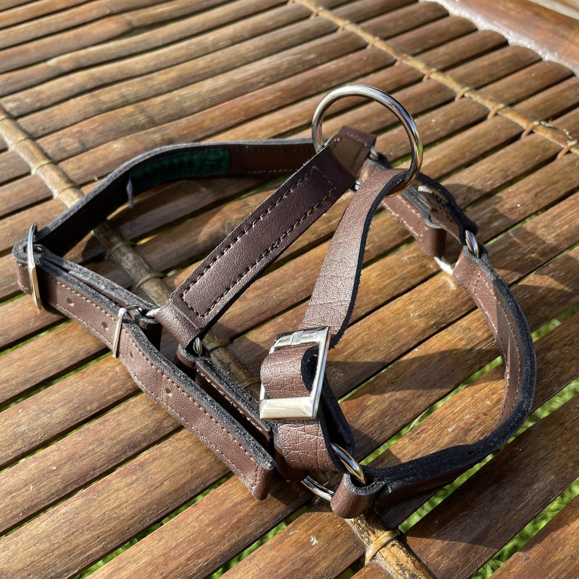 Leather Alpaca Halters - Image 12
