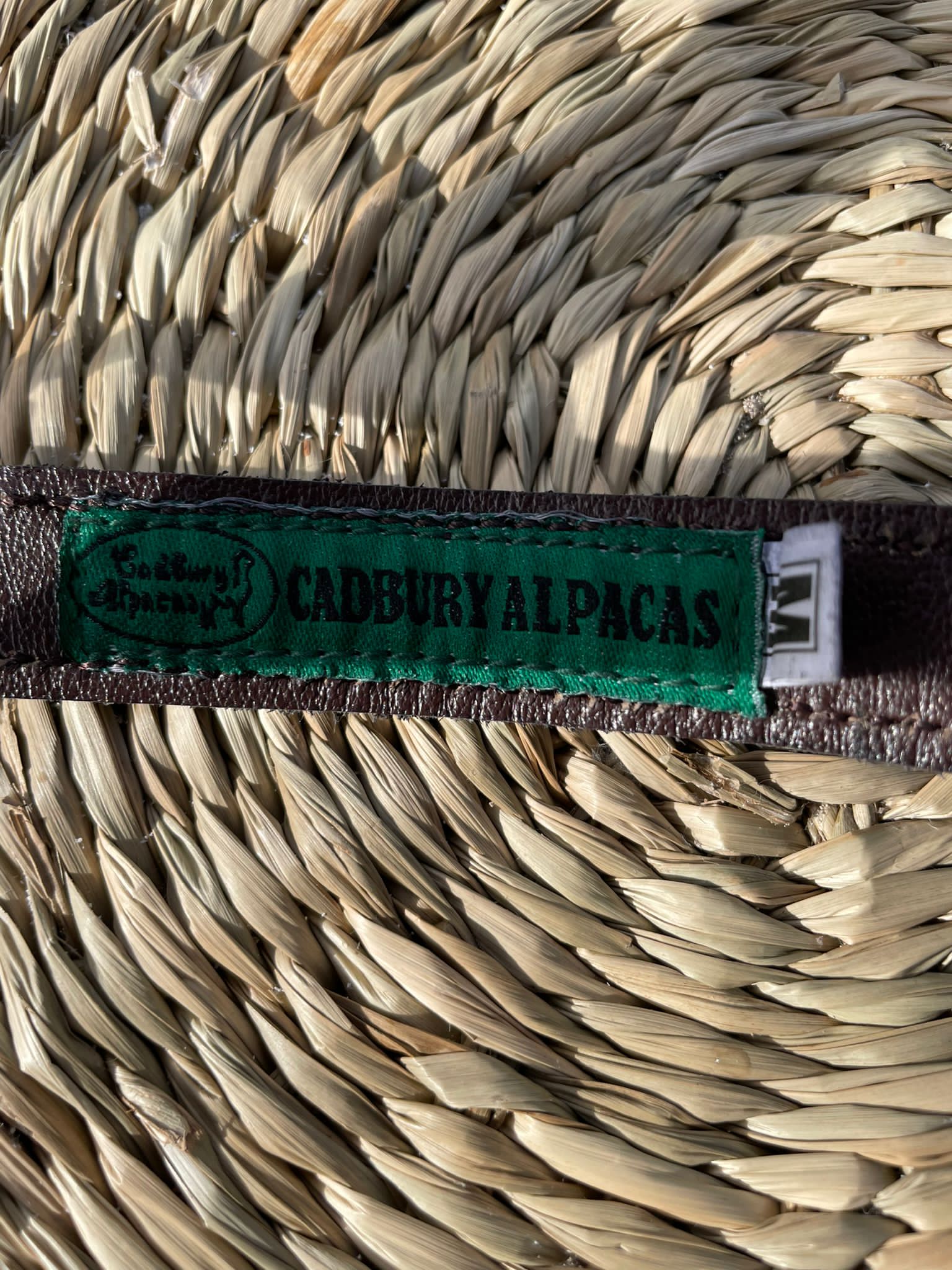 Leather Alpaca Halters - Image 14