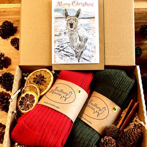 Special Christmas Socks