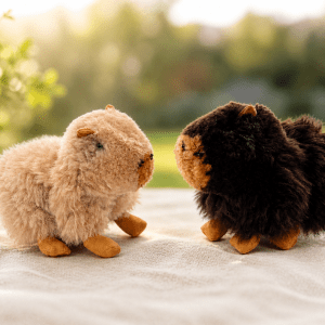 Capybara Model Animal
